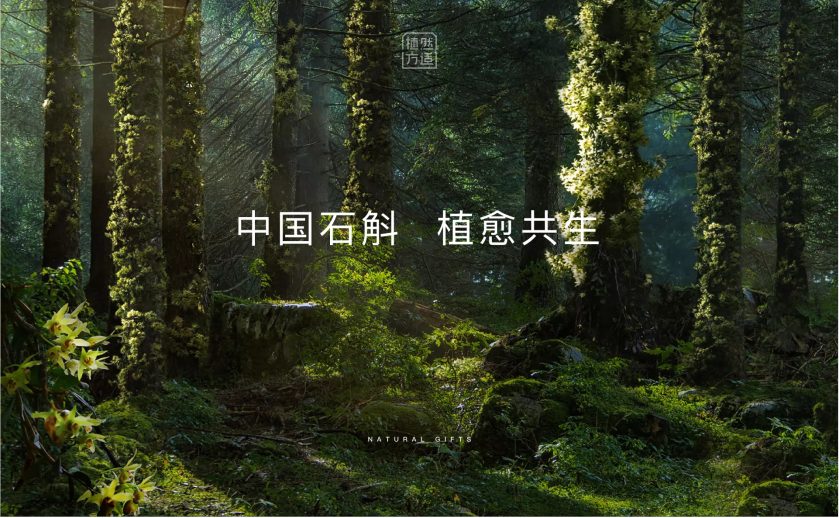 图片10.png