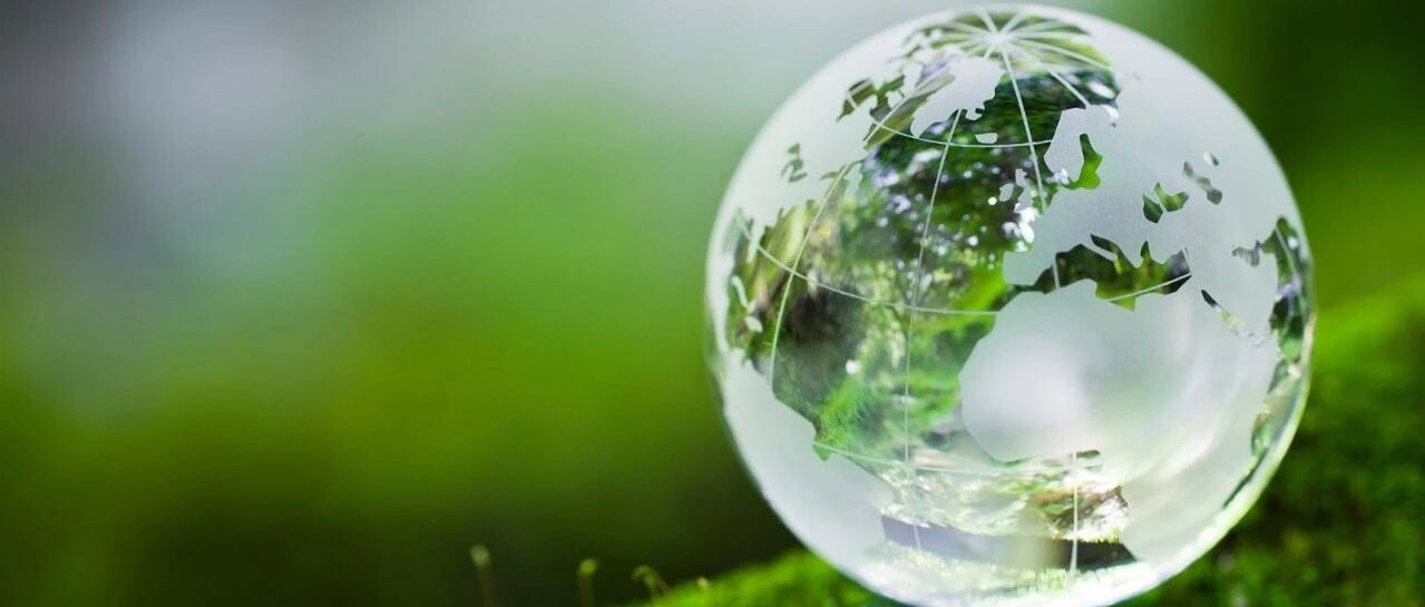 国际美妆巨头加速“掘金”生物基成分 | 前沿⑳