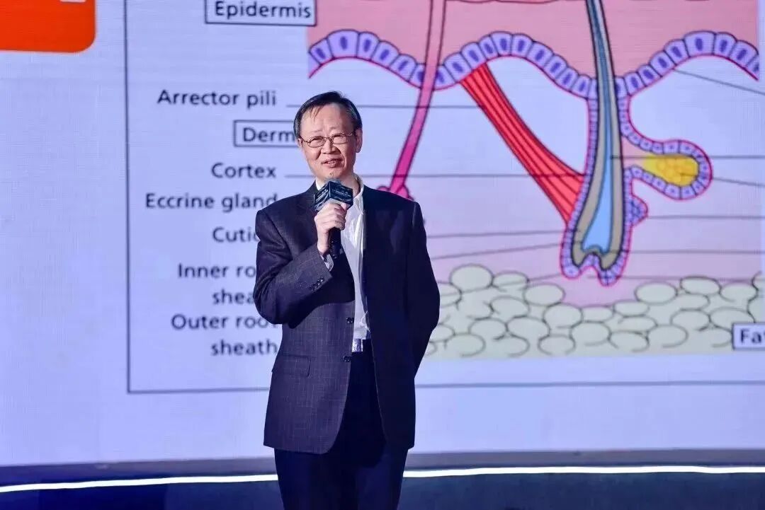 内容图片