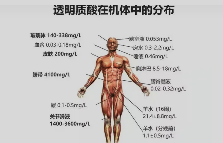 内容图片