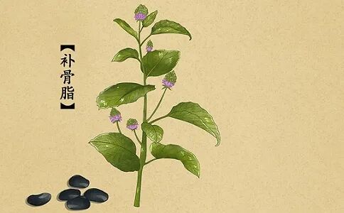 内容图片