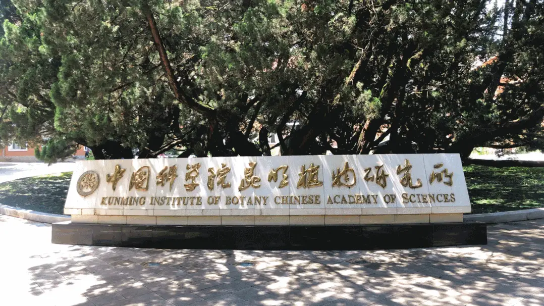 内容图片