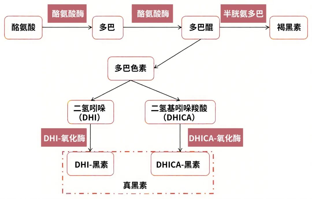 内容图片