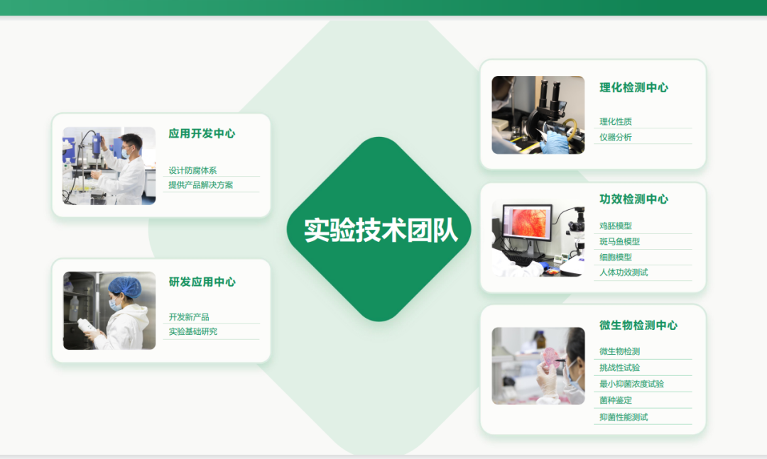 内容图片