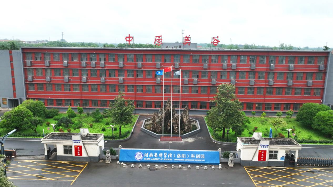 内容图片