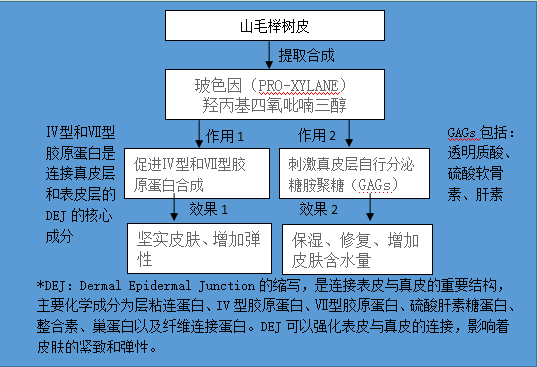 内容图片
