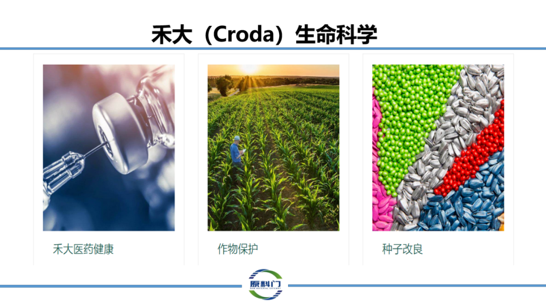 内容图片