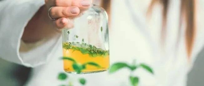 新规之下，中国特色植物原料的“高端局”来了