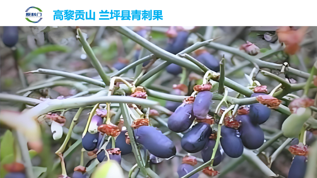 内容图片