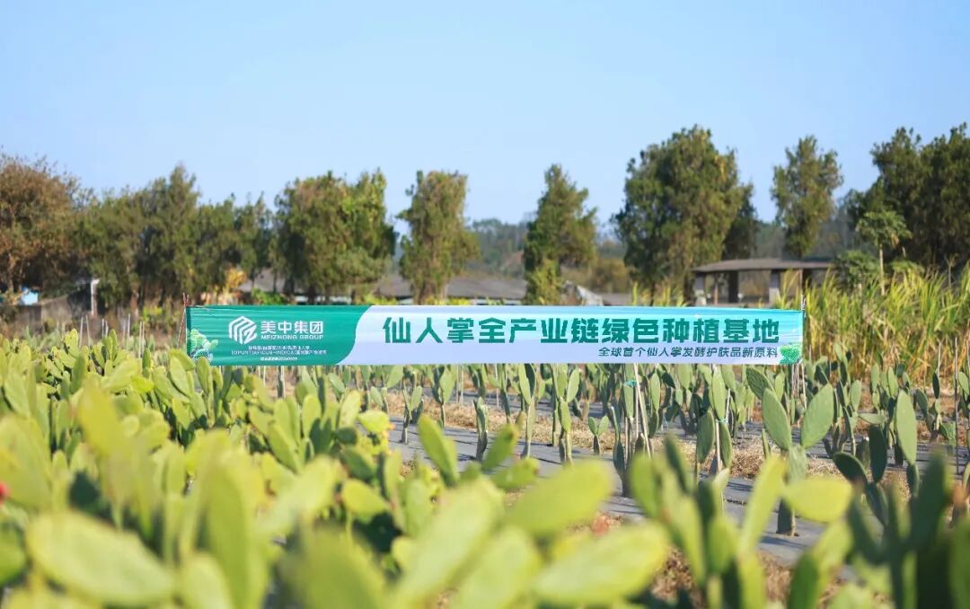 内容图片