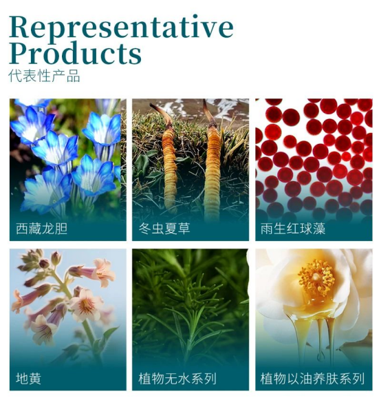 内容图片