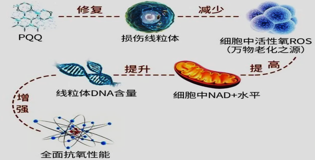 内容图片