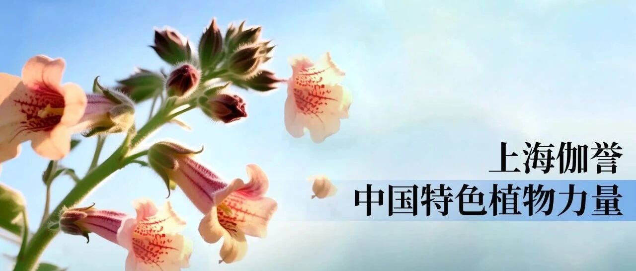 行业首个“水苏糖”新原料备案成功！