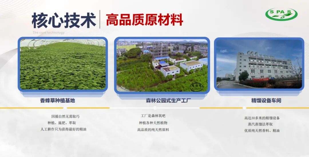 内容图片