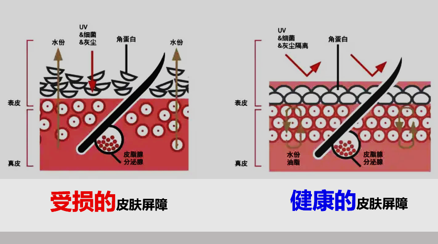 内容图片
