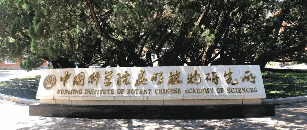 植物原料掀起备案“大潮” | 中国原料⑮