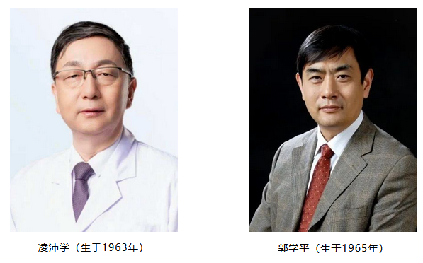 内容图片