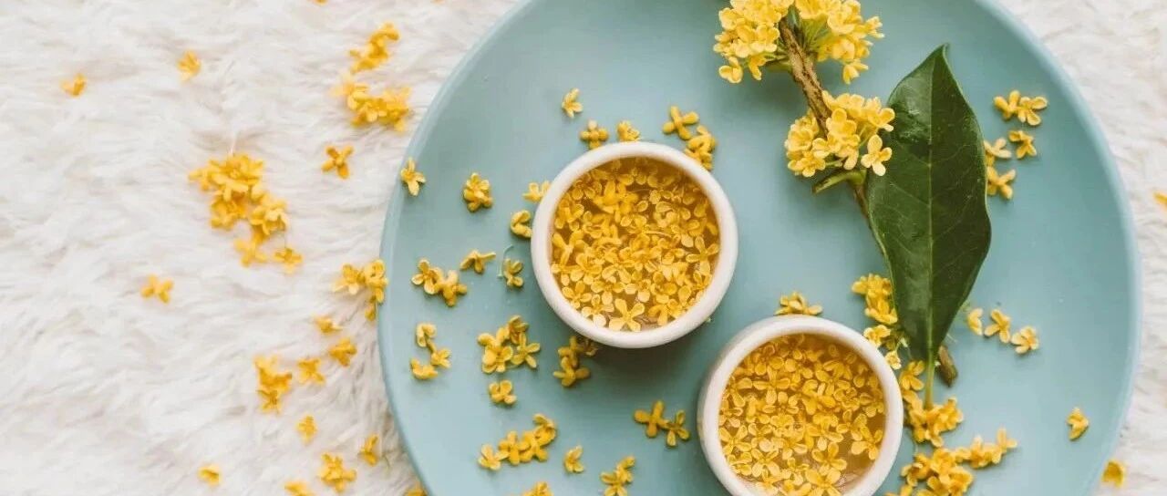 年度功效成分TOP30榜，植物原料都有谁？ | 中国原料⑯