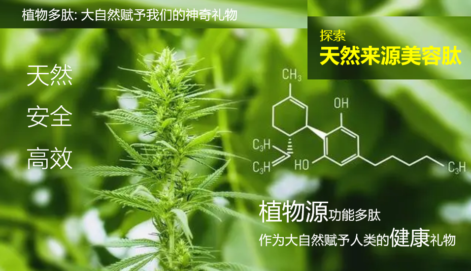 内容图片